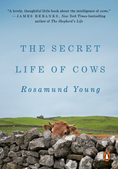Cover image for book The Secret Life of Cows