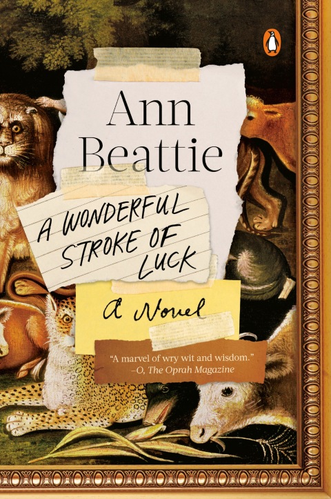 Cover image for book A Wonderful Stroke of Luck