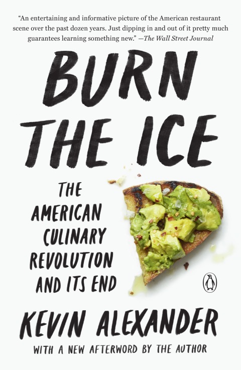 Cover image for book Burn the Ice