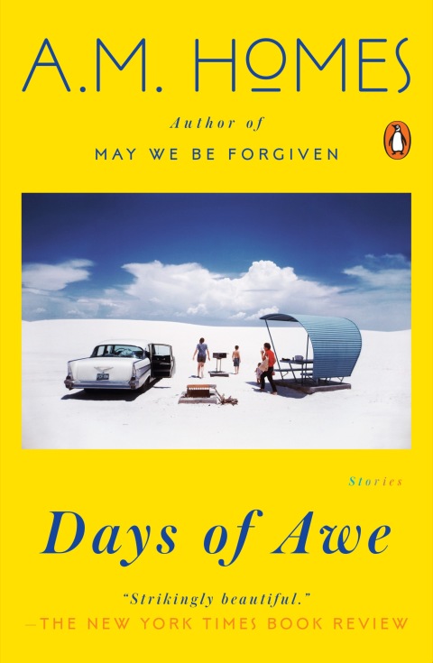 Cover image for book Days of Awe