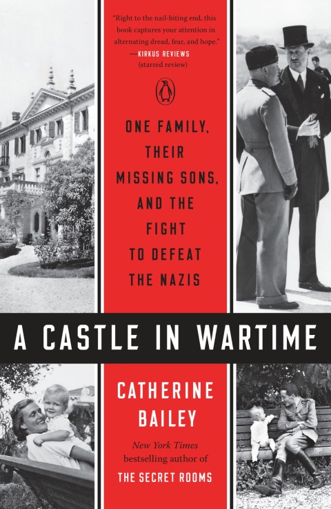 Cover image for book A Castle in Wartime