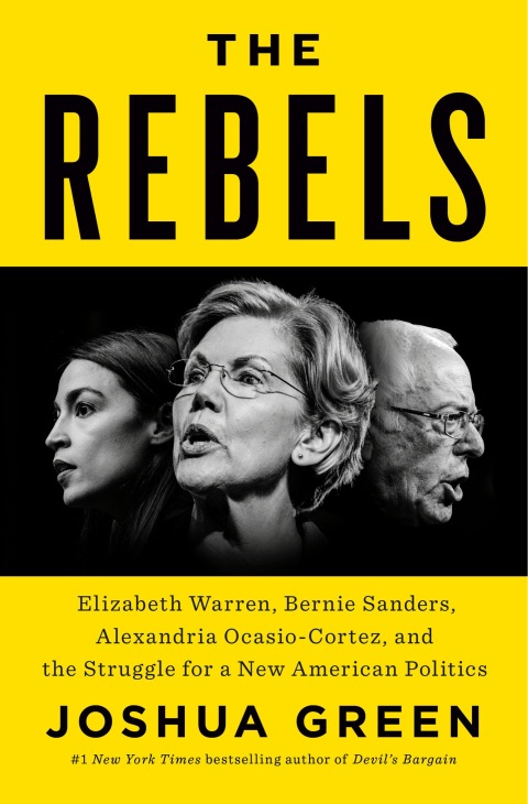 Cover image for book The Rebels