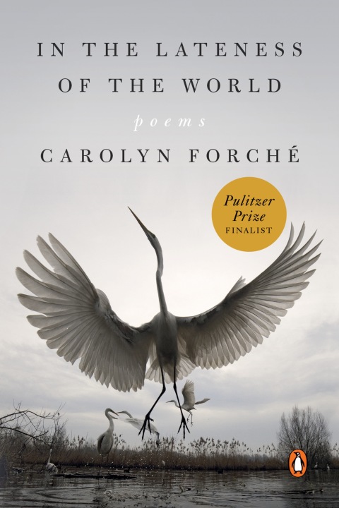 Cover image for book In the Lateness of the World