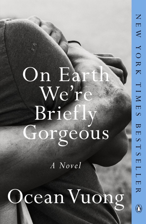 Cover image for book On Earth We're Briefly Gorgeous