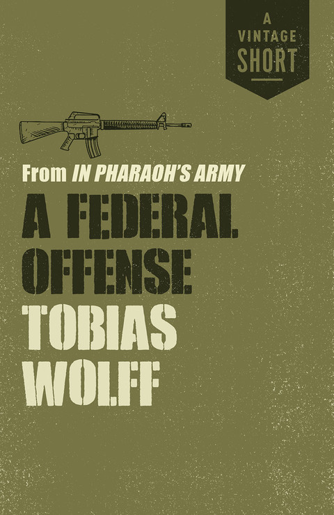 Cover image for book A Federal Offense