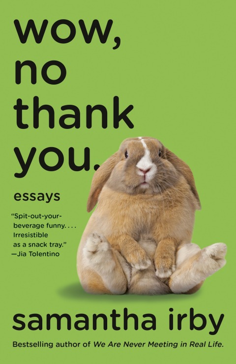 Cover image for book Wow, No Thank You.