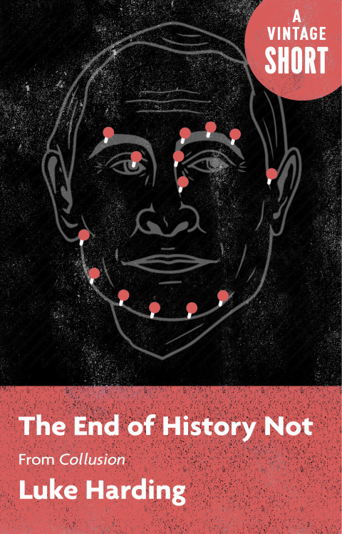 Cover image for book The End of History Not