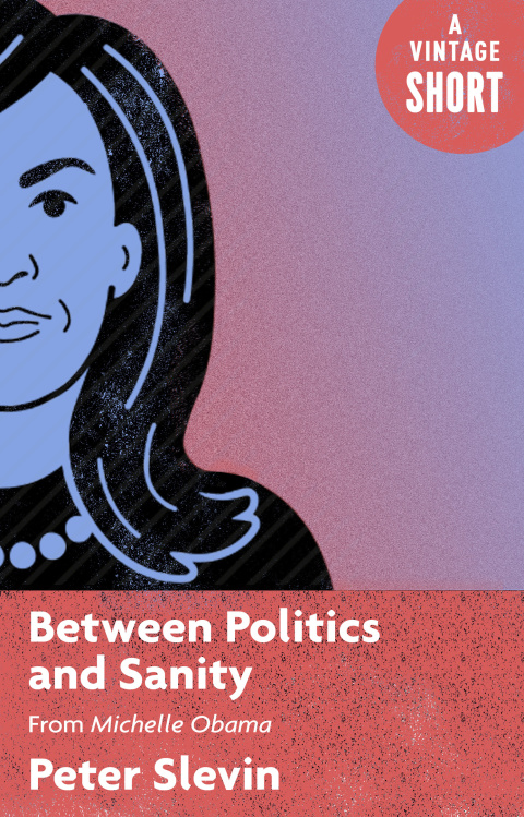 Cover image for book Between Politics and Sanity