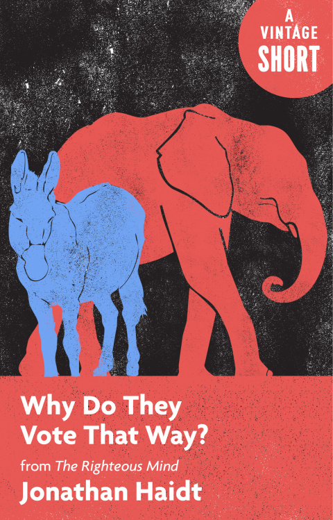 Cover image for book Why Do They Vote That Way?
