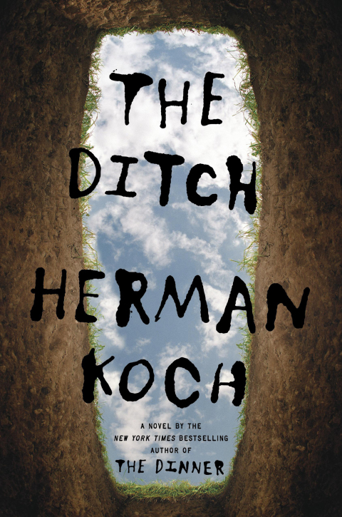 Cover image for book The Ditch