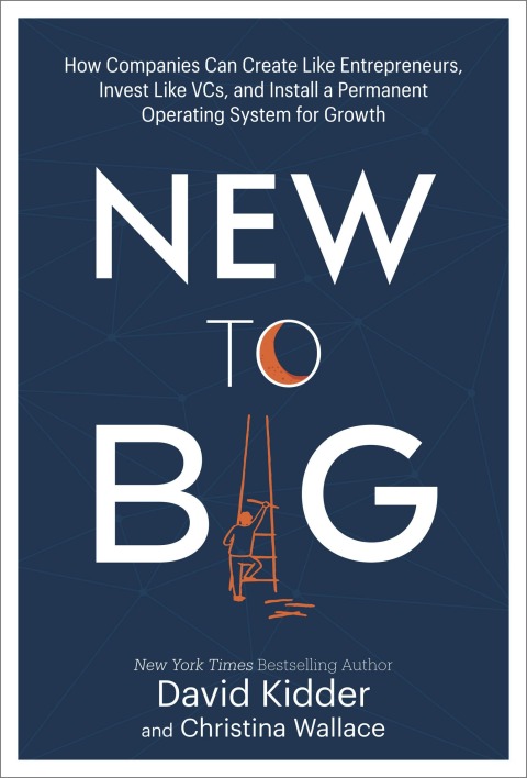 Cover image for book New to Big