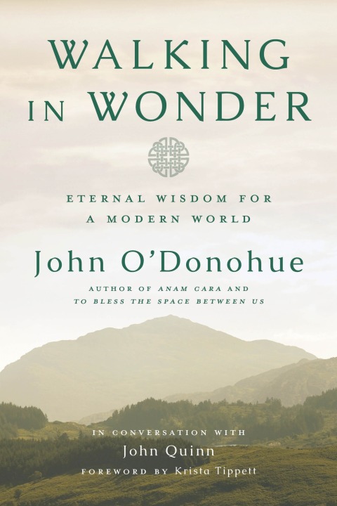 Cover image for book Walking in Wonder