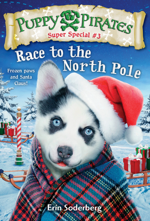 Cover image for book Puppy Pirates Super Special #3: Race to the North Pole