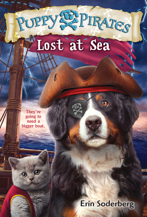 Cover image for book Puppy Pirates #7: Lost at Sea