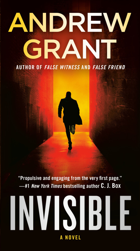 Cover image for book Invisible
