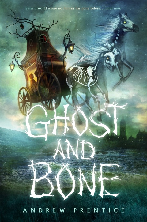 Cover image for book Ghost and Bone