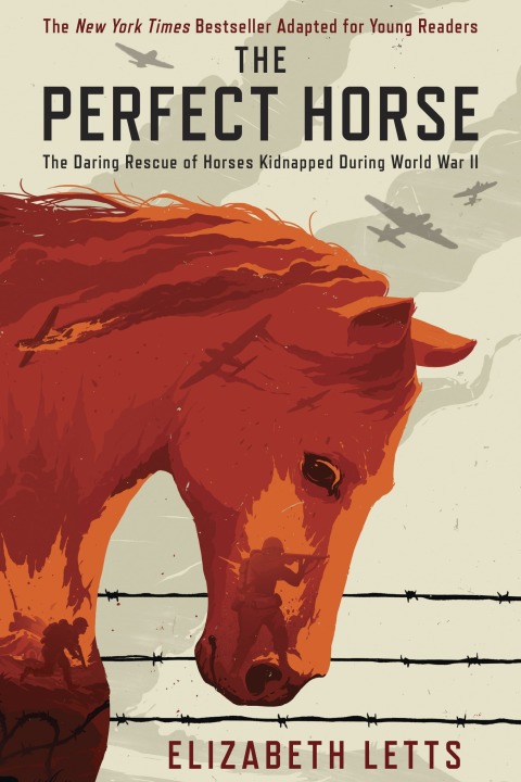 Cover image for book The Perfect Horse