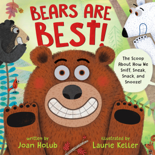 Bears Are Best!