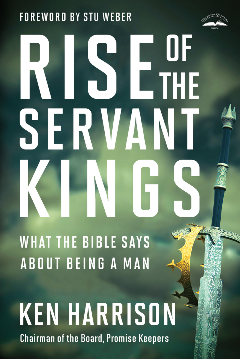 Cover image for book Rise of the Servant Kings