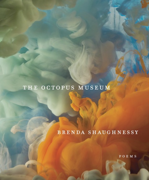 Cover image for book The Octopus Museum