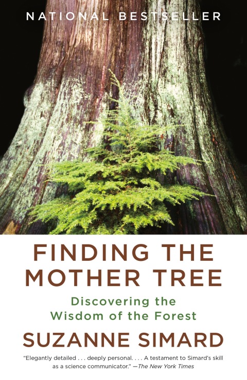 Cover image for book Finding the Mother Tree