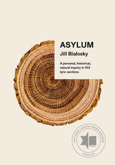 Cover image for book Asylum