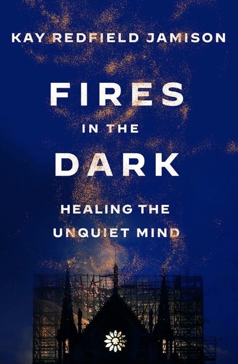 Cover image for book Fires in the Dark