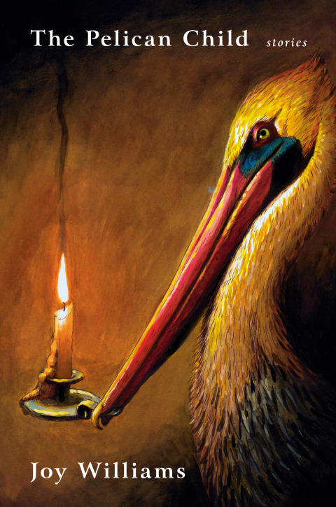 Cover image for book The Pelican Child
