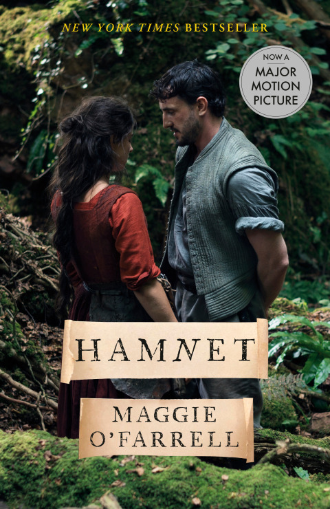 Cover image for book Hamnet