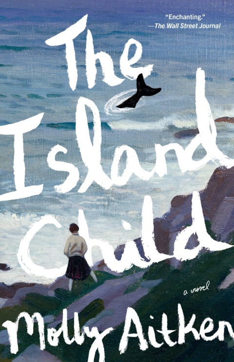 Cover image for book The Island Child