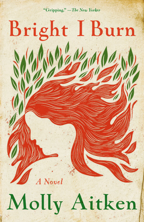 Cover image for book Bright I Burn