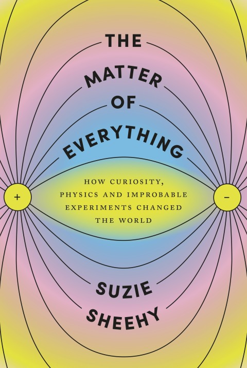 Cover image for book The Matter of Everything