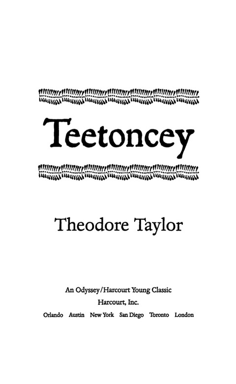 Cover image for book Teetoncey