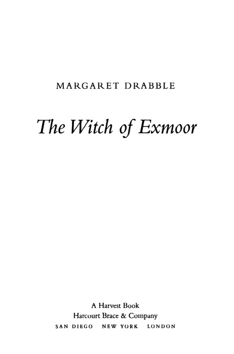 Cover image for book The Witch of Exmoor