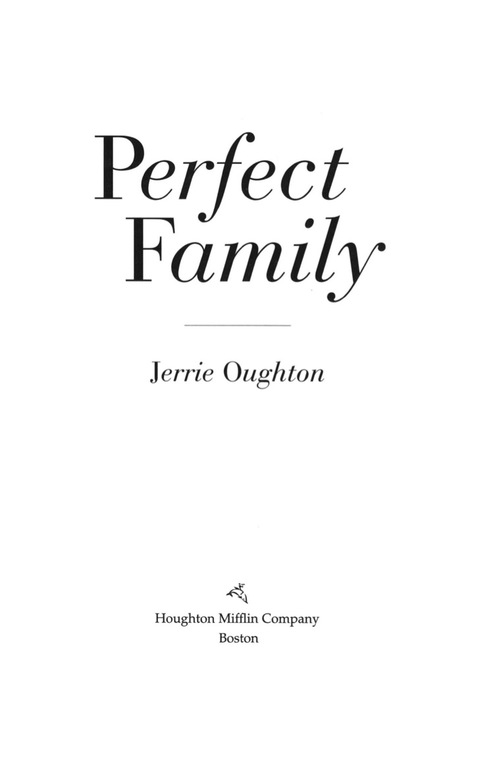 Cover image for book Perfect Family