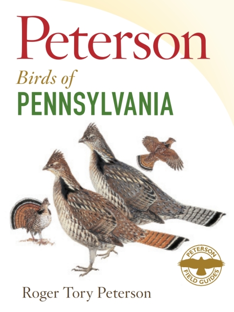 Cover image for book Peterson Field Guide to Birds of Pennsylvania