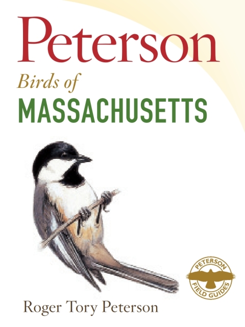 Cover image for book Peterson Field Guide to Birds of Massachusetts