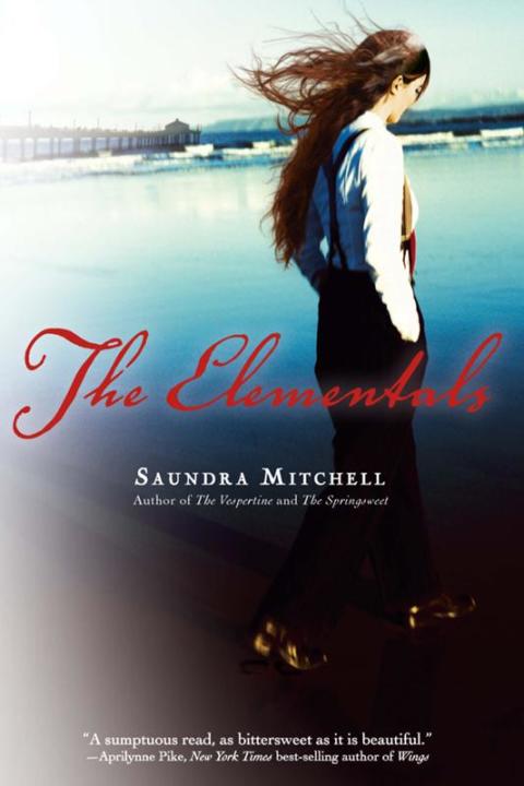 Cover image for book The Elementals
