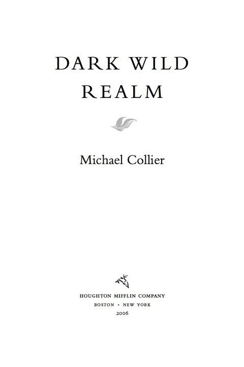 Cover image for book Dark Wild Realm