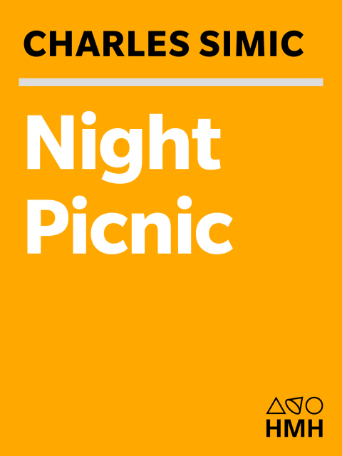 Night Picnic 