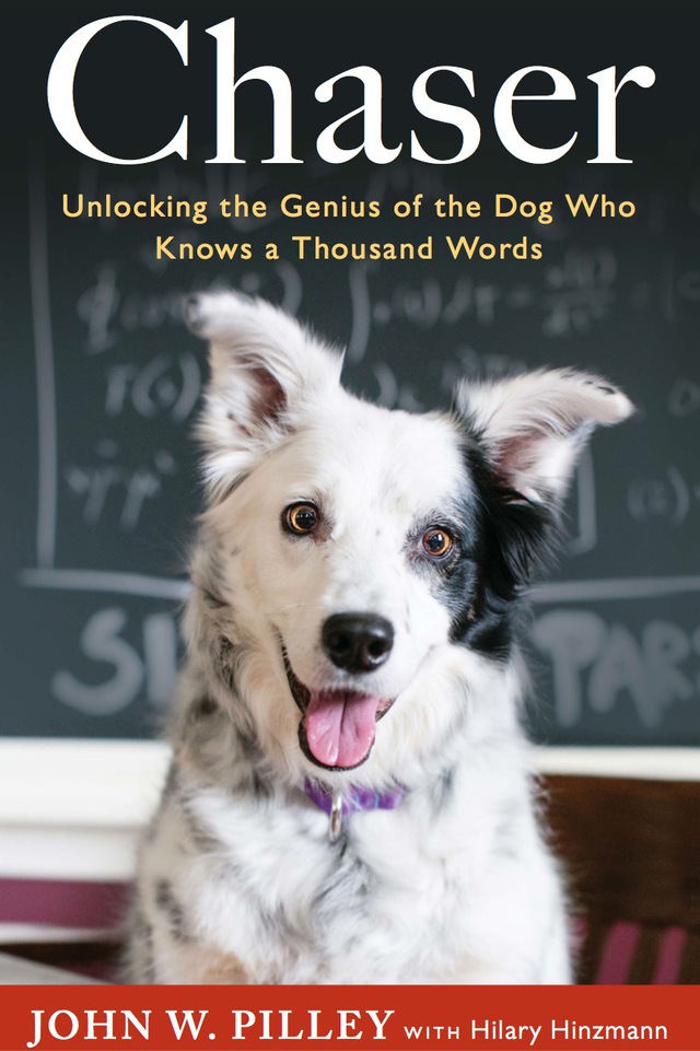 Chaser