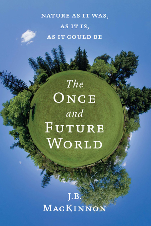 Cover image for book The Once and Future World