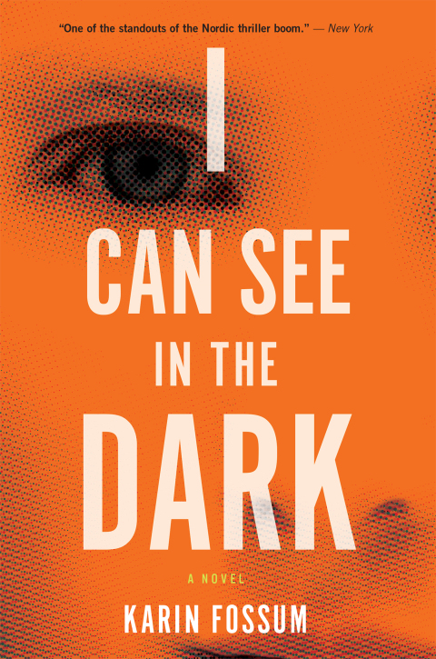 Cover image for book I Can See In The Dark