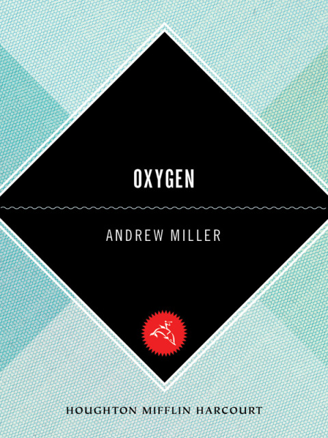 Cover image for book Oxygen