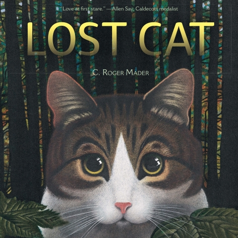 Cover image for book Lost Cat