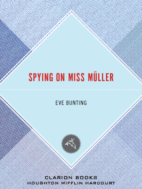 Cover image for book Spying on Miss Müller