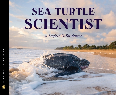 Cover image for book Sea Turtle Scientist