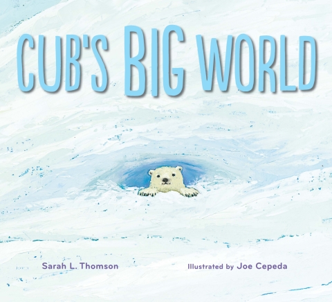 Cover image for book Cub's Big World