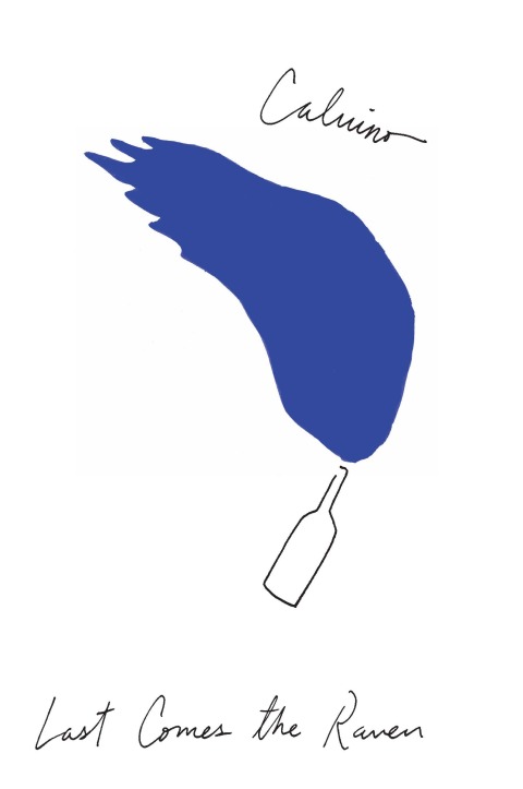 Cover image for book Last Comes The Raven
