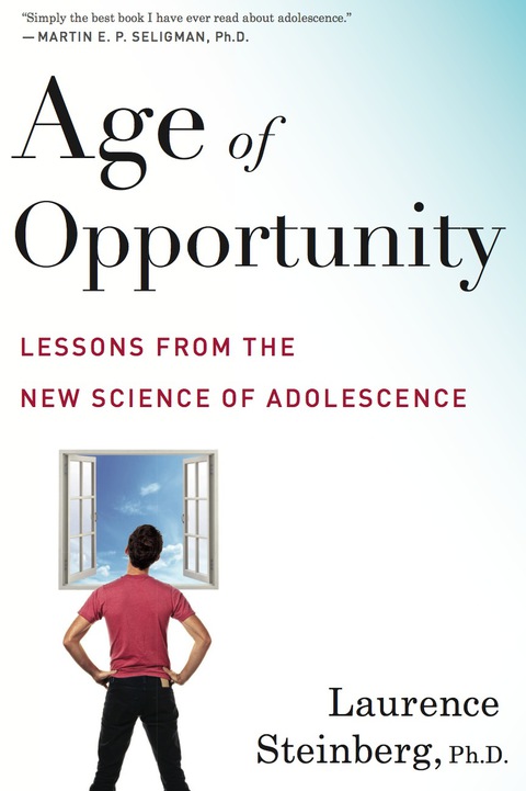 Cover image for book Age Of Opportunity
